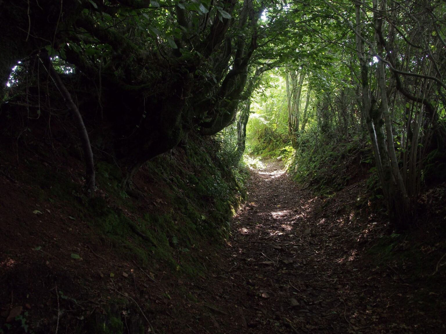 découvrez l'importance de l'entretien des chemins ruraux pour garantir la sécurité et l'accessibilité des zones rurales. apprenez les meilleures pratiques et techniques pour préserver ces voies essentielles à la mobilité et au développement local.