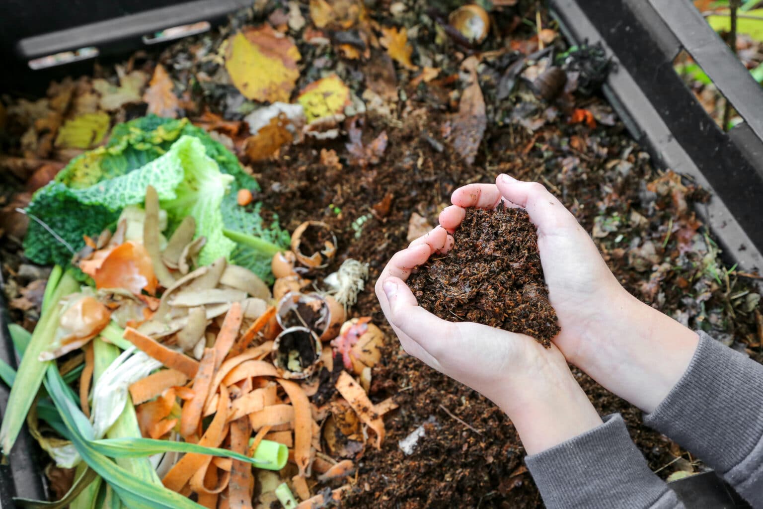 découvrez les avantages du compostage des biodéchets et apprenez comment transformer vos déchets organiques en un précieux compost pour nourrir vos plantes et jardiner durablement.