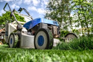 découvrez comment gérer l'entretien de votre jardin en tant que locataire ou propriétaire. explorez les responsabilités, les conseils pratiques et les meilleures solutions pour un espace extérieur agréable et bien entretenu.
