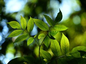 découvrez des solutions d'épargne alternative innovantes pour diversifier votre portefeuille et maximiser vos rendements. explorez les options variées qui s'offrent à vous pour faire fructifier votre capital tout en minimisant les risques.