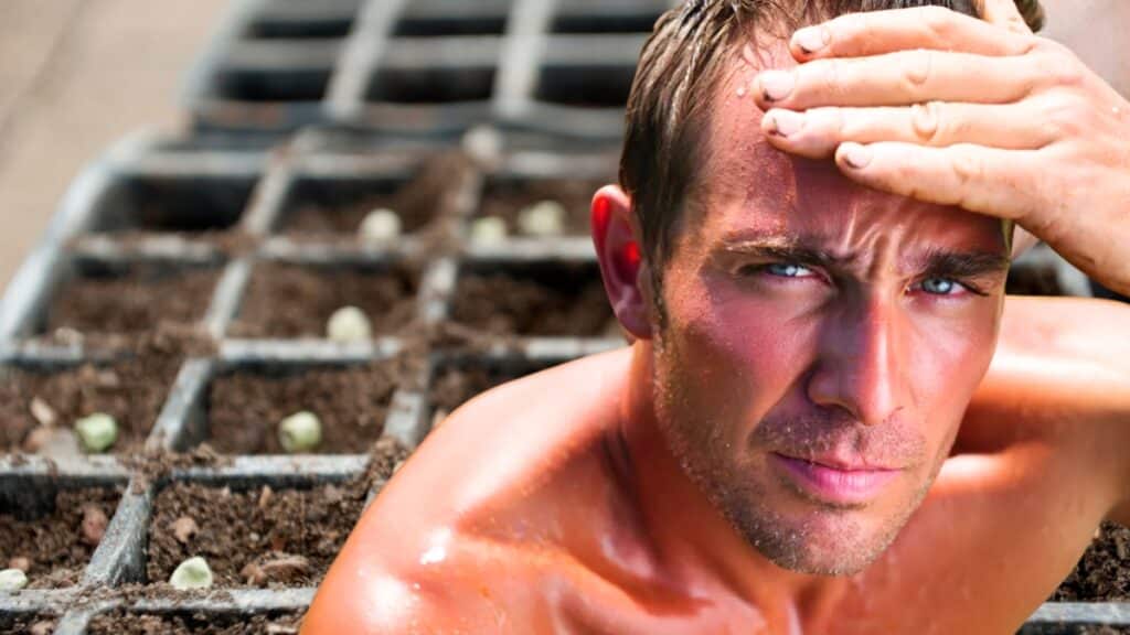 jardinier canicule