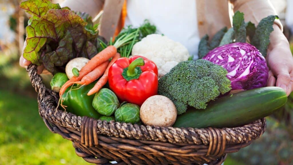 potager abondant