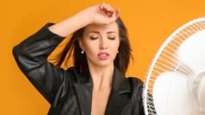 canicule ventilateur